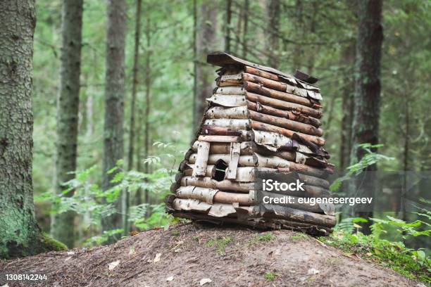 Small Wooden Hut For Wild Animals Stock Photo - Download Image Now - Animal, Animal Wildlife, Animals In The Wild