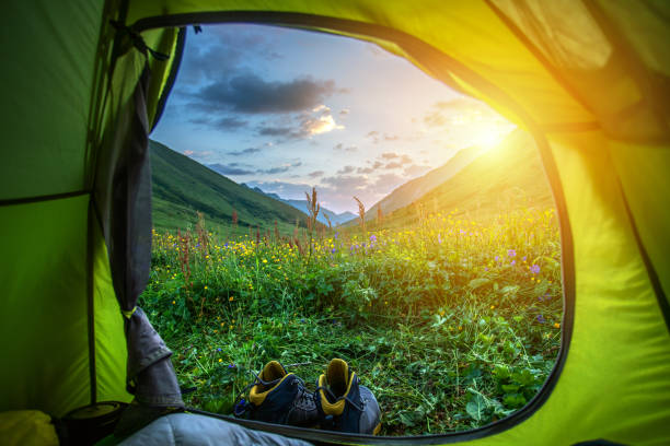 istock View on a beautiful mountain landscape from the tent 1308144806