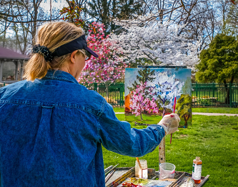 Older woman artist painting blooming trees and bushes in a public garden in the spring; Missouri