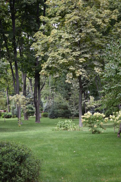 istock Beautiful Garden with a Freshly Mowed Lawn 1308152477