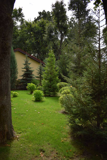 istock Beautiful Garden with a Freshly Mowed Lawn 1308152512