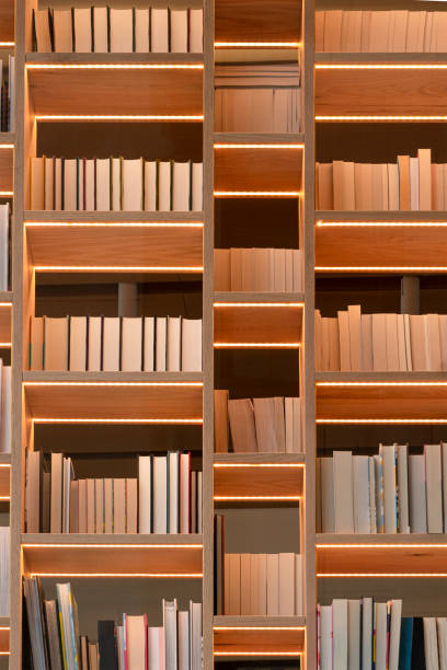 istock Wooden shelfs fully packed with books in a library 1308153291