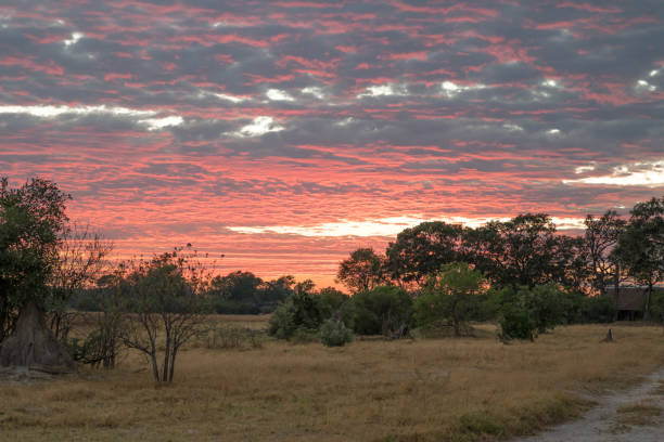 madrugada en el delta del okavango - cloud morning delta landscape fotografías e imágenes de stock