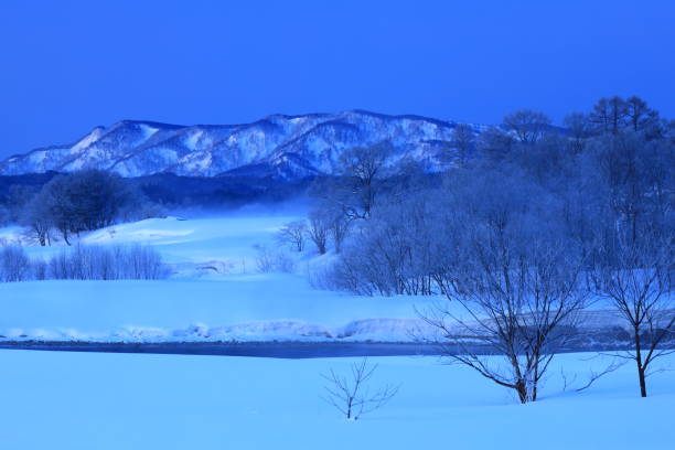istock Snow scene of the river 1308154390