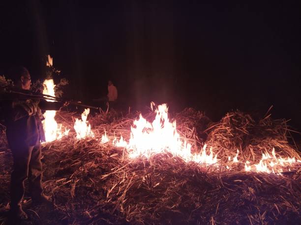 istock forest fire storm with smoke extinguish by rural people at night. 1308156501