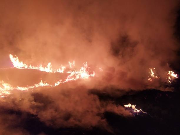 istock Orange color fire storm with smoke in dark night forest 1308156503