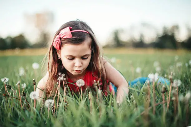Photo of Cute adorable Caucasian girl blowing dandelions flowers. Child lying in grass on meadow. Outdoors fun summer seasonal children activity. Kid having fun outside. Happy childhood lifestyle.
