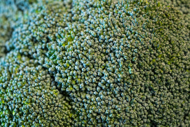 Broccoli Macro Background stock photo