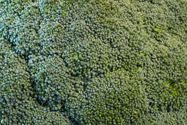Broccoli Macro Background stock photo