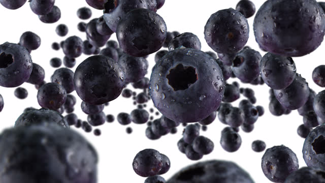 Burst of Blueberry in White Background with Alpha Channel
