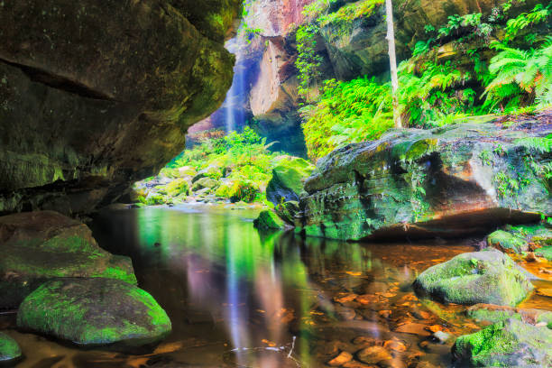 bm gc cliff grotte wf 32mm - cave fern flowing forest photos et images de collection