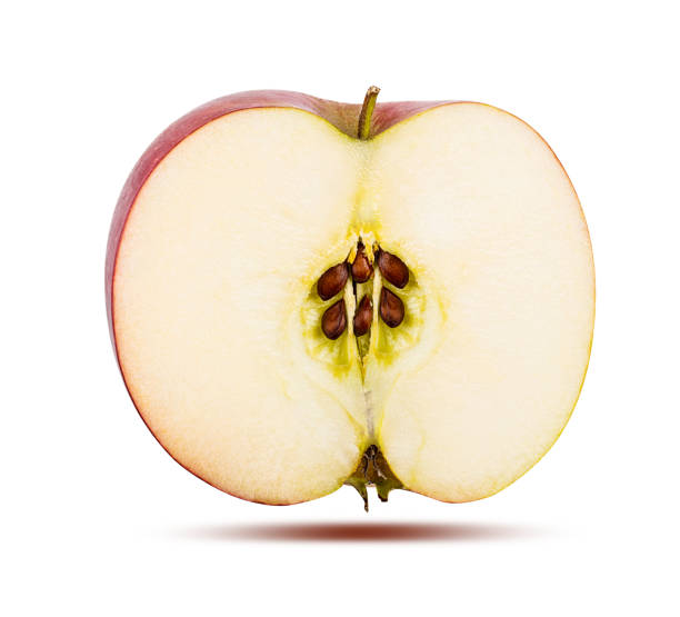 istock Halved apple isolated on white background with clipping path 1308160168