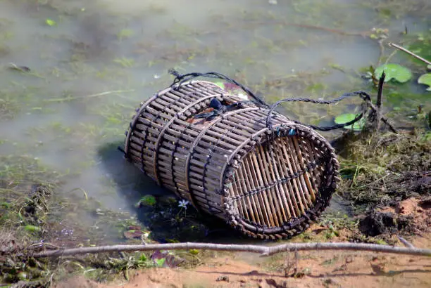 Photo of Crabbing