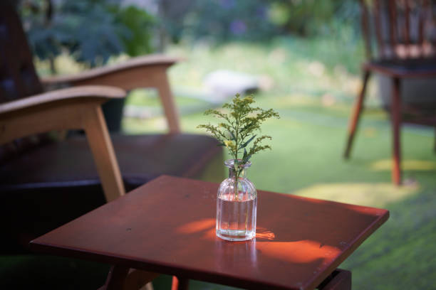istock green plant leaves in pot decorating at cafe 1308168912