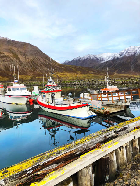 ólafsfjörður, islandia: port z łodziami rybackimi - nordic countries europe island fjord zdjęcia i obrazy z banku zdjęć