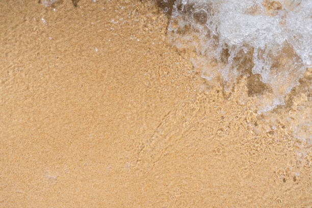 istock Beach and sea waves background 1308171386