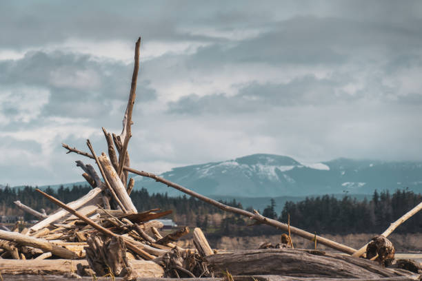 Iverson Spit on Camano Island, Washington on a winter day