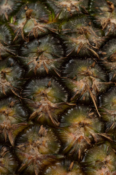 istock Close up of pineapple 1308178593