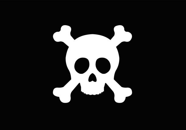 ilustrações de stock, clip art, desenhos animados e ícones de vector illustration of a skull on a black background, pirate flag concept - pirate corsair cartoon danger