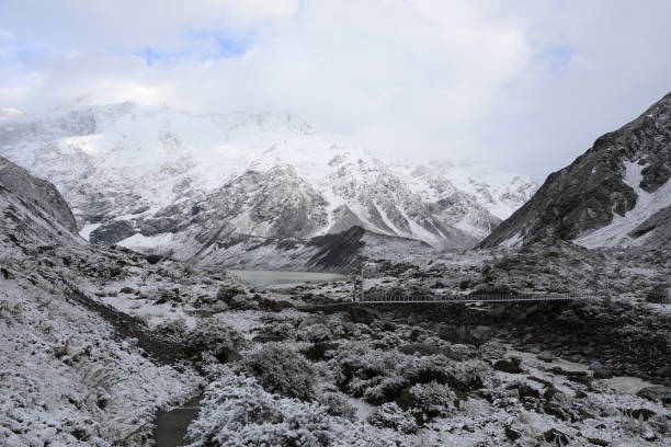 istock New Zealand Landscape 1308183147