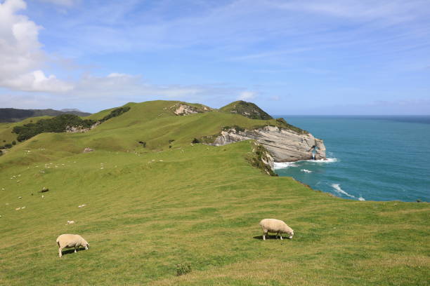 istock New Zealand Landscape 1308183231