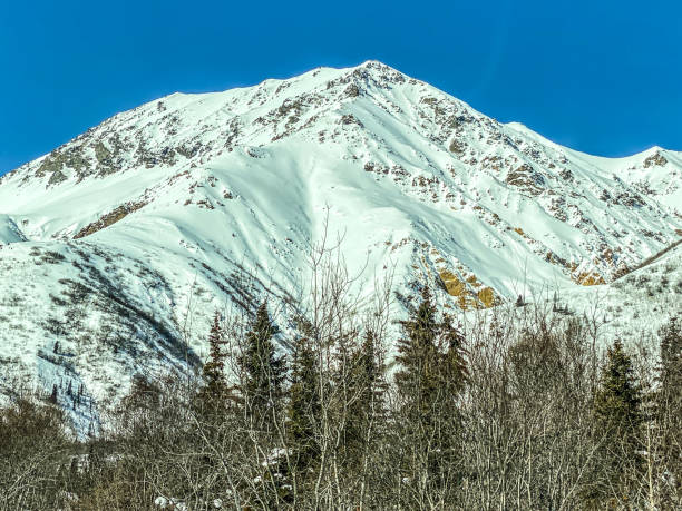 istock Snow Covered Mountains of Alaska 1308190273