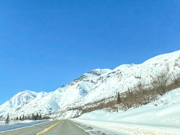 istock Snow Covered Mountains of Alaska 1308190277
