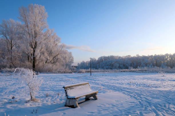 istock winter landscape in park 1308192308