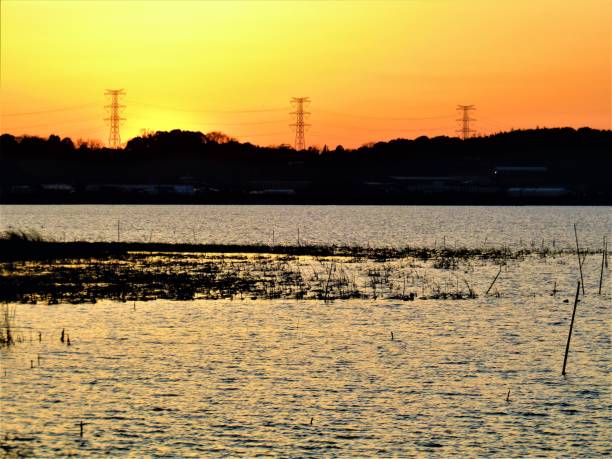 istock Japan. March. Sunset above the Teganuma lake. 1308196558