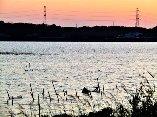 istock Teganuma lake just after sunset. 1308196590