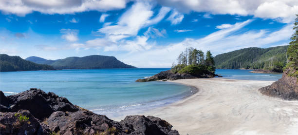 istock Beautiful panoramic view of sandy beach on Pacific Ocean Coast. 1308197459