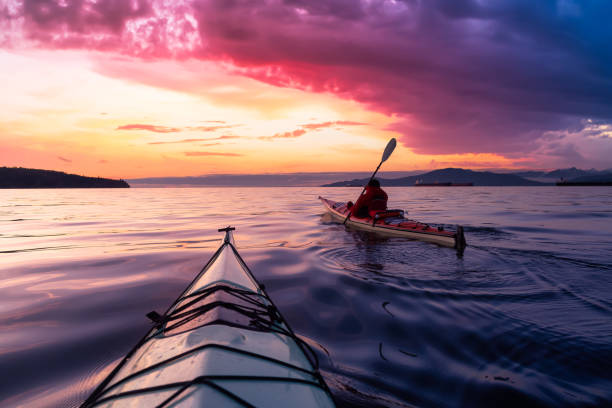 istock Adventurous Man Sea Kayaking in the Pacific Ocean. 1308197574