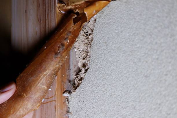 istock Earth wall collapsed by the earthquake 1308206313