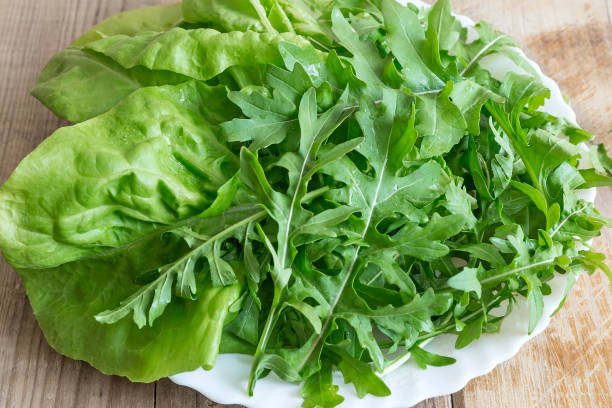 istock Fresh green leaves of arugula on the table 1308206901