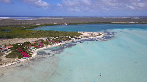istock Bonaire Lac Bay 1308207099