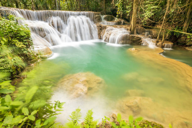 пейзаж huai mae камин водопад шринакарин в канчанабури, таиланд. - srinakarin стоковые фото и изображения
