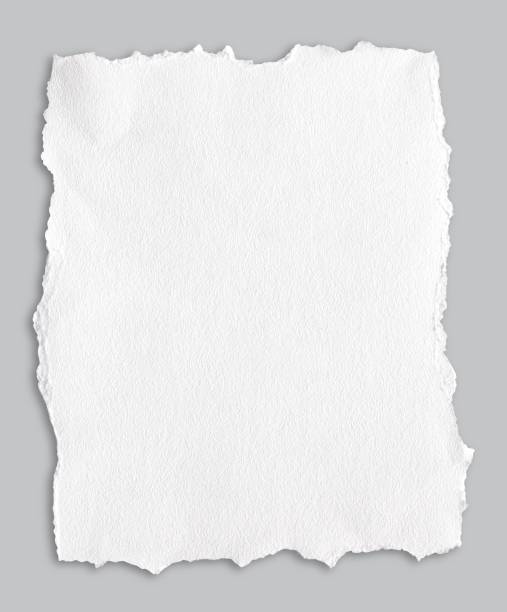 Paper with a ragged edge watercolor with shadow