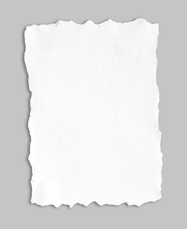 Rectangular-sized watercolor paper with a ragged edge