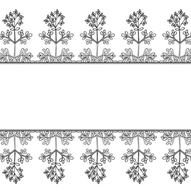 Vector illustration of common rue, frame, border