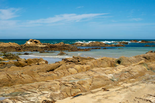 бакланы на внешних скалах от пляжа, томакин, новый джерси, австралия - tomakin стоковые фото и изображения