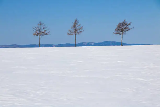 This is a picuture of Hokkaido with beautiful nature such as snowy field and sea ice.