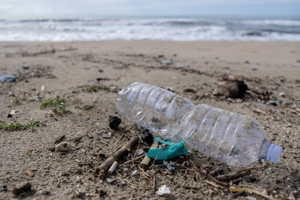 istock Plastic bottle garbage on sea coast,pollution free ecosystem planet save concept 1308224799