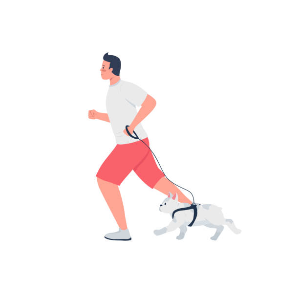 człowiek działa z psem na smyczy płaski kolor wektor szczegółowy charakter - men jogging running sports training stock illustrations
