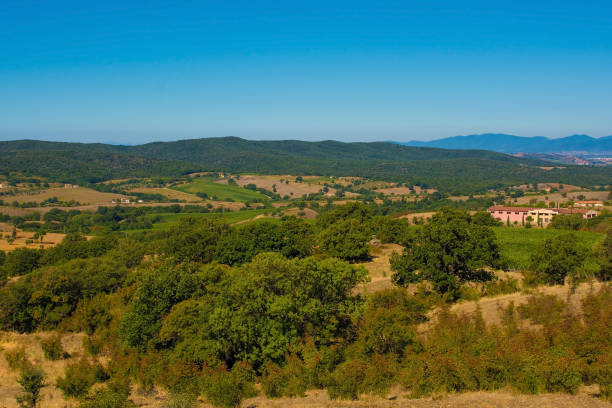 istock Landscape Near Scansano 1308231499