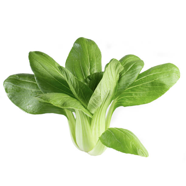 istock Young organic white bok choy or bak choi Chinese cabbage isolated on white backgound 1308232552