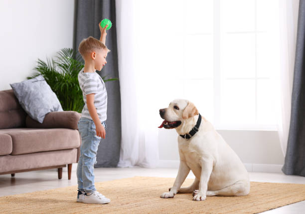 istock Kid playing ball with dog at home 1308234931