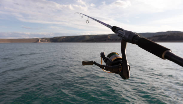istock fishing rod in a lake 1308237373