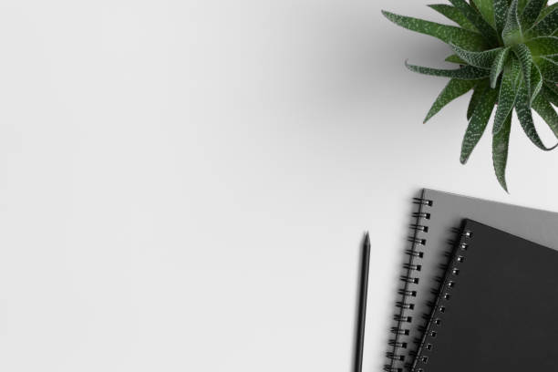 istock Workspace accessories  and a succulent plant on a white table.  Flat lay with blank copy space. 1308237389