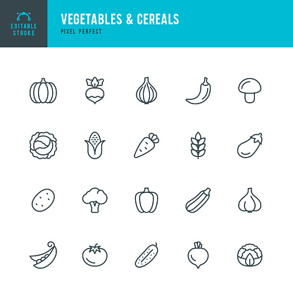 VEGETABLES & CEREALS - thin line vector icon set. 20 linear icon. Pixel perfect. Editable outline stroke. The set contains icons: Broccoli, Cauliflower, Cabbage, Carrot, Green Pea, Corn, Cucumber, Tomato, Potato, Pumpkin, Pepper, Eggplant, Onion.
