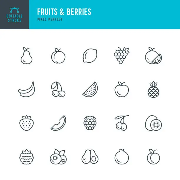 Vector illustration of FRUITS & BERRIES - thin line vector icon set. Pixel perfect. Editable stroke. The set contains icons: Orange, Banana, Kiwi, Apple, Blueberry, Strawberry, Pear, Peach, Lemon, Avocado, Pineapple.